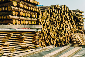 苏州市先锋木业有限公司